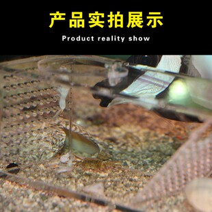 海水鱼缸捕蟹盒鱼缸捕蟹器亚克力诱捕蟹神器单向活门诱捕盒免操作