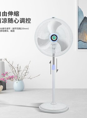 梁田 电风扇落地扇家用立式办公室机械落地风扇120W大功率FT-45D