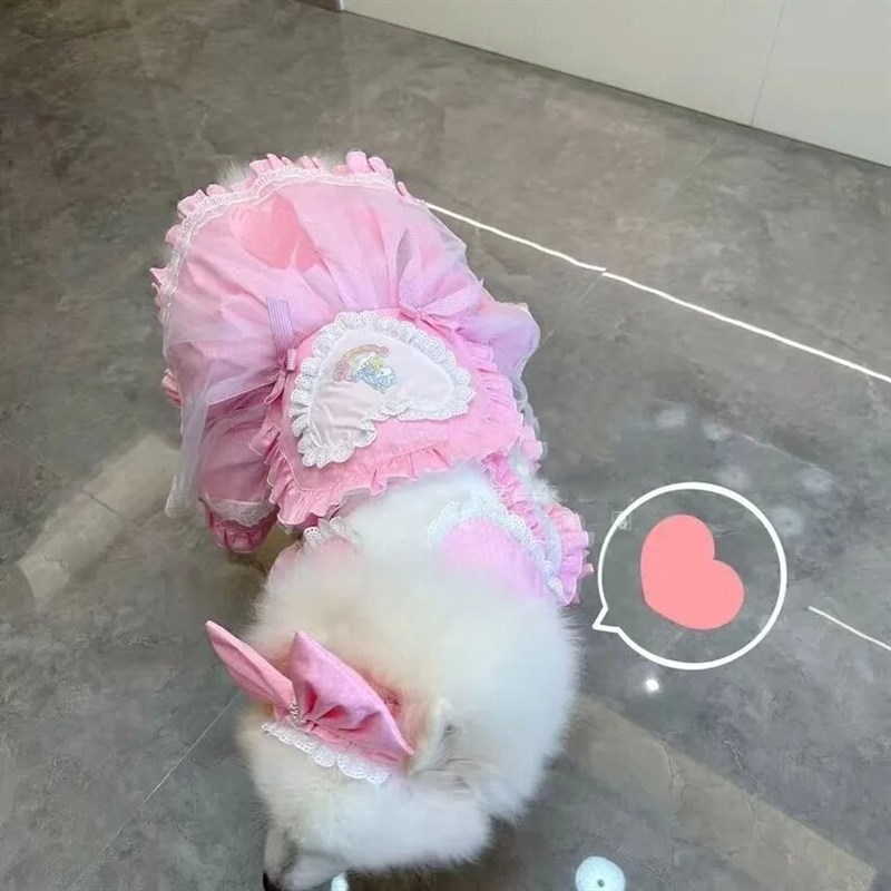 大狗蕾丝公主裙金毛拉多婚纱裙巨贵衣服大狗夏装阿拉裙子