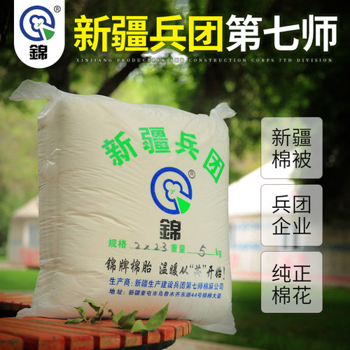 新疆长绒纯棉花新新棉花被 网套学生宿舍秋冬棉絮被褥1-15斤