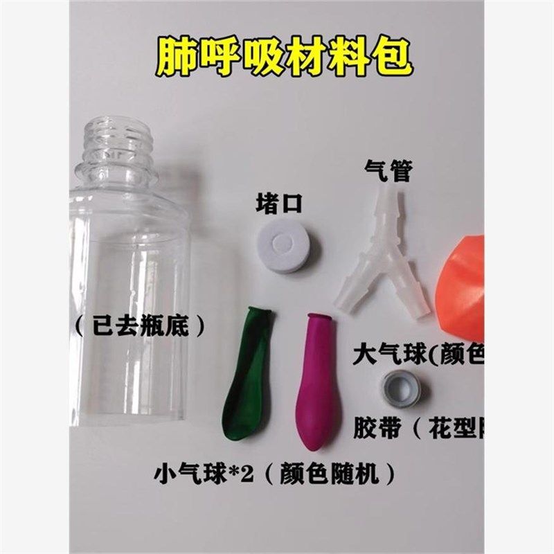 肺呼吸模型教具实验小学生材料包小制作手工科学运动生物初中作业,玩具/童车/益智/积木/模型,科学实验,淘宝优惠券,粉丝福利购,淘宝优惠卷