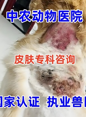 犬猫皮肤专科咨询宠物医院执业兽医师医生在线细菌螨虫真菌手术后