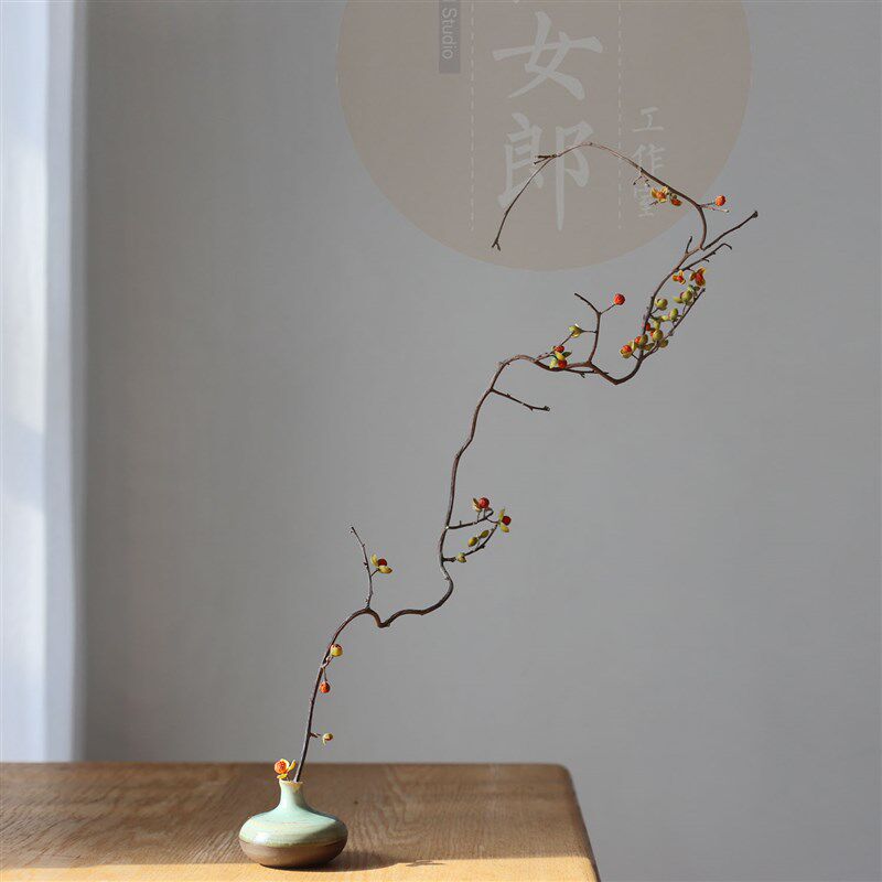 桃女郎南蛇藤天然干花干树枝家居装饰侘寂禅意插花摆件客厅餐厅