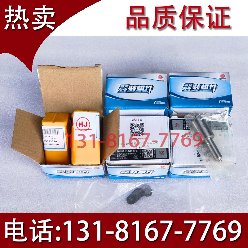 重庆潍柴620h0 8200船用发动机 油头 喷油器 油嘴 红江 福仕德原