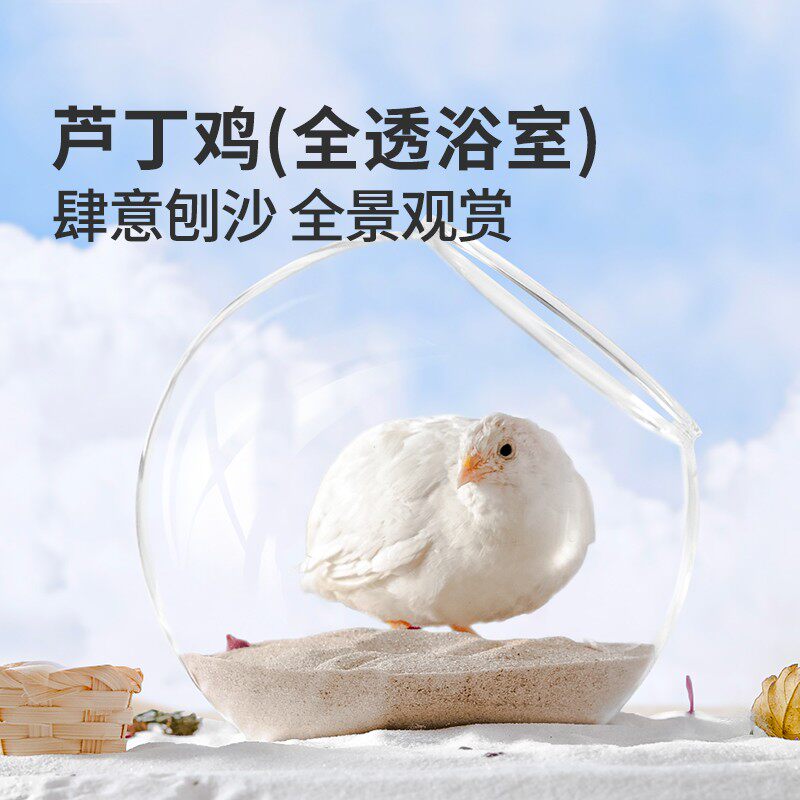 芦丁鸡透明浴室躲避小屋卢丁鸡窝造景用品洗澡房子浴沙除臭套餐