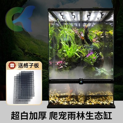 爬宠雨林生态缸水陆缸热带植被高透造景缸守宫蜘蛛蜥蜴玻璃饲养盒
