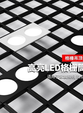 led格栅灯15x15嵌入式网格吊顶专用方形筒灯10x20黑色葡萄架射灯