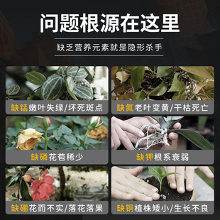 快速开花粉100g瓶装 花卉盆栽园艺爆花催花促花冒花素营养花肥