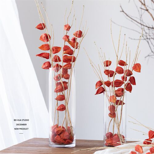 ins灯笼果手工干花花束 红色新年春节装饰 花瓶插花果Z实厨房摆件