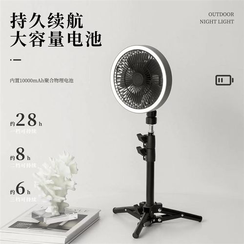 户外露营电风扇可充电无线便携超C长续航野外野营摇头带灯帐篷吊