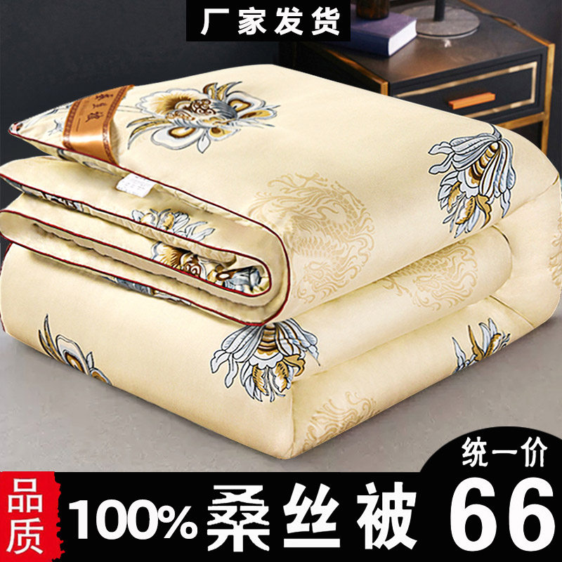 春秋桑丝棉空调被轻薄款夏凉被单人双人秋冬被Q褥工厂直发四季被