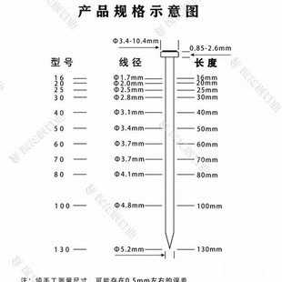 青龙剑 特种水泥钉钢钉木工钉墙钉彩锌高强度挂画钉挂画钉水泥