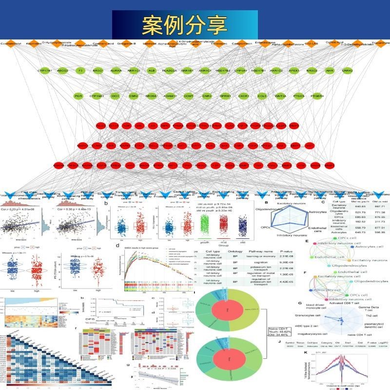 框架整理 生信分析1-9分服务 医学SCI服务 TCGA/GEO数据库挖掘