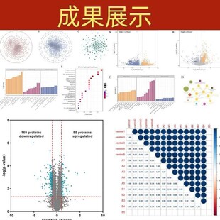 生信分析单细胞转录组多组学测序实验挖掘 孟德尔随机化MR