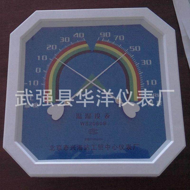 WS2080B温湿度表大八角指针式温湿度表 工业精准高精度挂壁