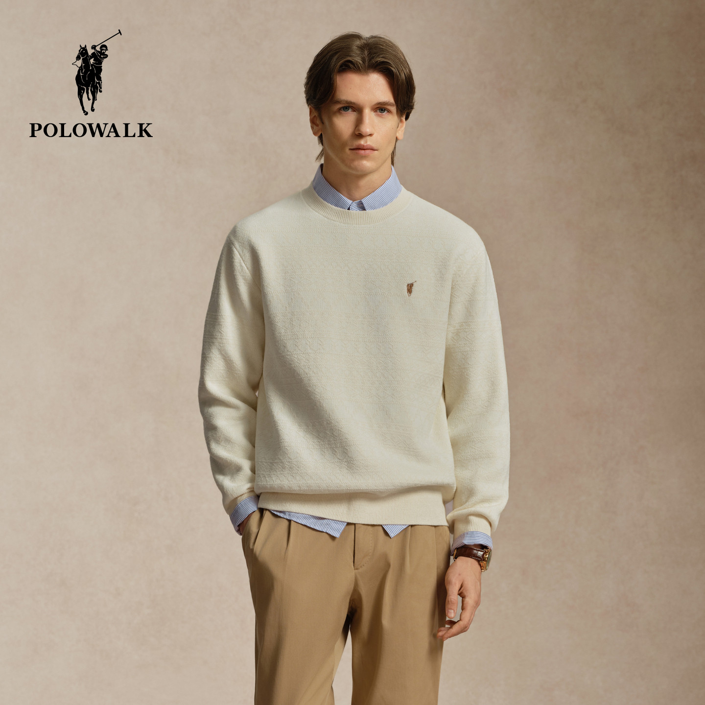 POLOWALK男士秋季新品针织衫