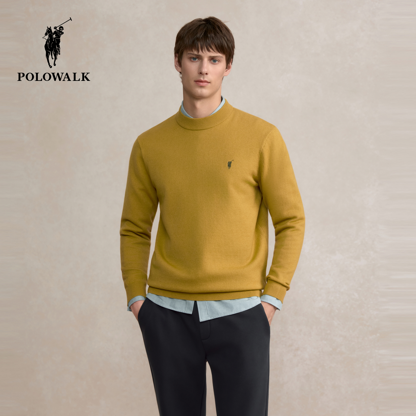 POLOWALK男式针织衫2025秋季新品半高圆领套头上衣休闲打底衫