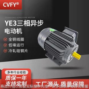 80V YE系列三相异步电动机 4极电机 200L 0KW铁壳全铜马达