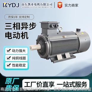 YE5 YE4 YVF2厂家直销 三相异步电动机110V220V80VYL