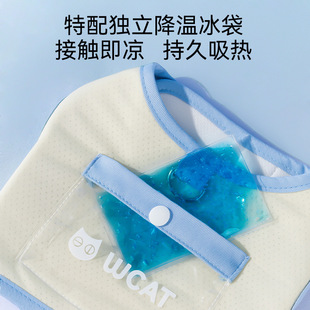 凉感外出牵引绳可调节宠物猫咪用品 凉凉冰袋胸背带猫咪夏季