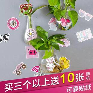 壁挂花盆挂绿植墙免打孔半壁墙壁花瓶水养水培玻璃瓶贴在墙上悬吊