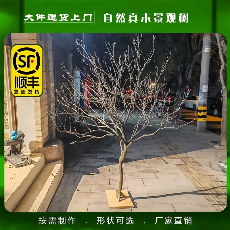 天然树枝树干造景j打卡大型落地摆件装饰大树许愿树枯树干树造型