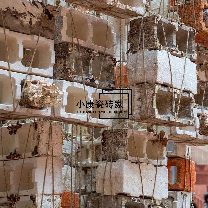 新型装饰可持f续环保材料菌丝体背景装饰艺术装置店铺装修设计空