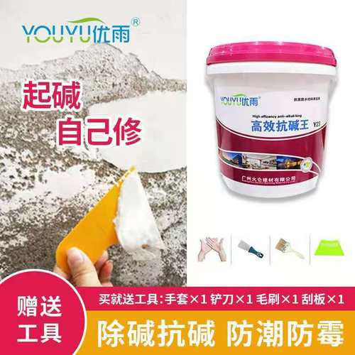 墙面起碱克星防潮防m霉涂料抗碱除霉背水面补墙膏除碱剂室内混凝