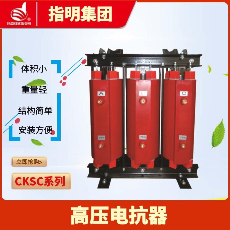 厂家CKSC三相高压串联滤波电抗器高压系列干式铁心电抗器6%