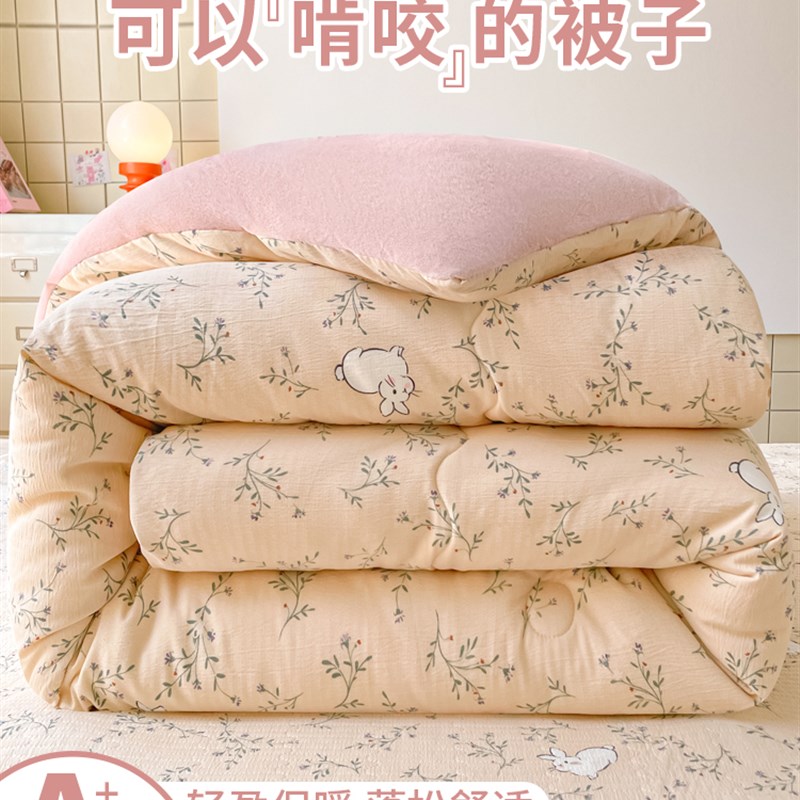 秋冬季双层纱宝宝绒被子冬被加厚加绒保暖被芯春秋被单.人床盖套