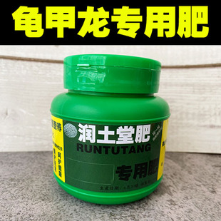 龟甲龙肥料龟甲龙专用肥室内花肥料绿植有机复合肥颗粒缓释肥尿素