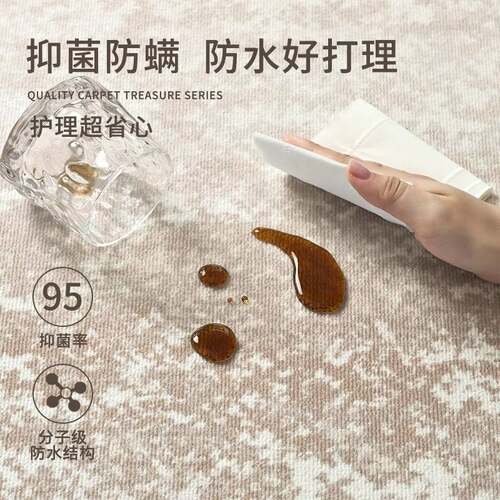 地毯客厅全铺大面积意式现代简约免洗可擦防水沙发茶几地垫高级感