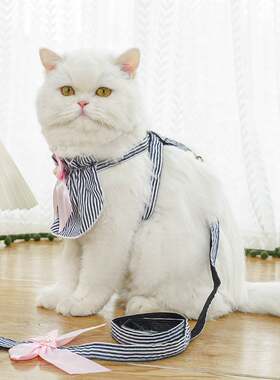 狗狗猫咪蓝条纹狗围脖款外出牵引绳胸背带遛狗猫衣服宠物用品