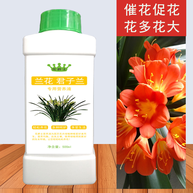 兰专用营养液体肥料长效叶面肥水培君子兰肥料专用肥,鲜花速递/花卉仿真/绿植园艺,家庭园艺肥料,淘宝优惠券,粉丝福利购,淘宝优惠卷
