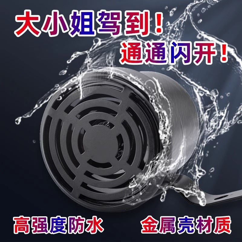 个性化汽车喇叭大小姐驾到通通闪开货车小轿车电动车语音提示器