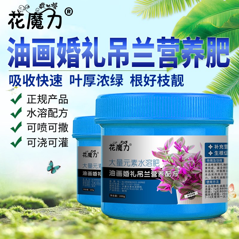 油画婚礼吊兰专用营养肥紫露兰盆景庭院室内造景植物四季养护用肥