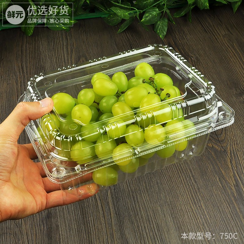【镇店款】鲜元一斤装一次性水果盒透明塑料包装水果打包盒子500g