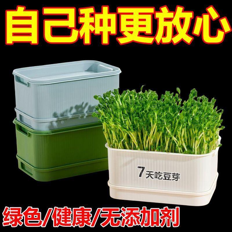 推荐新款豆芽机家用发豆芽神器食品级发绿豆芽懒人豆芽菜发芽盆种