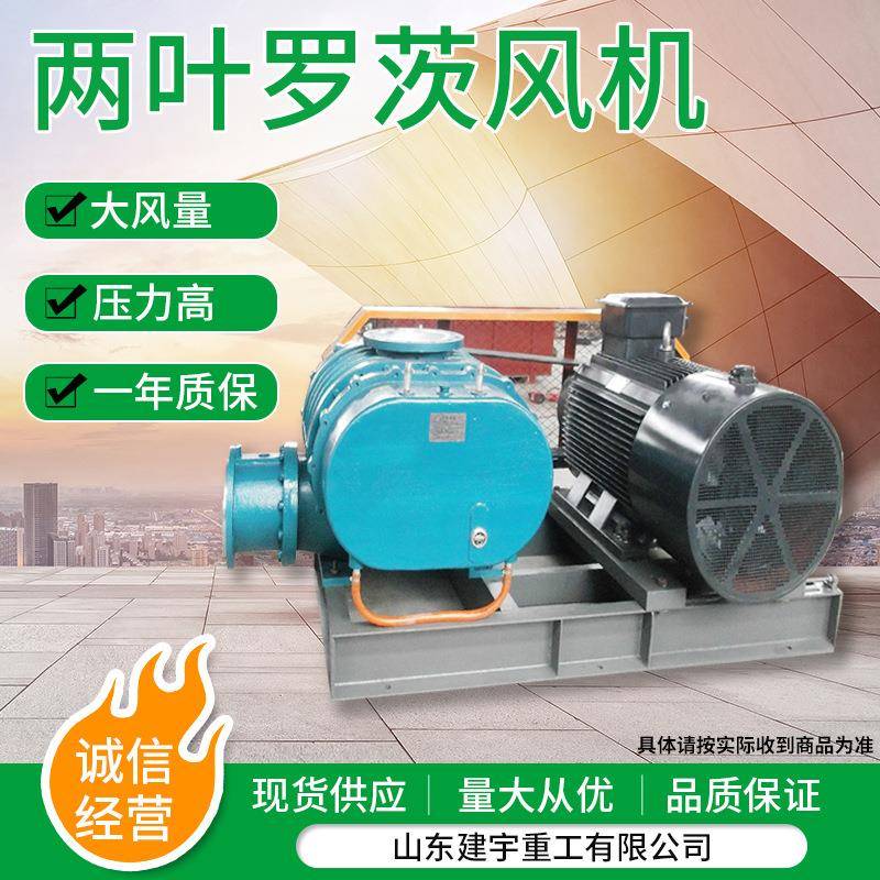 厂家现货两叶罗茨鼓风机气力输送污水处理增氧两叶罗茨鼓风机