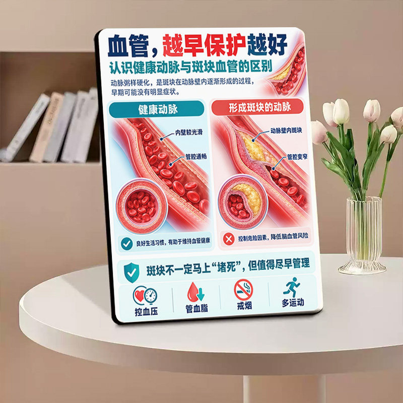 血管越早保护越好健康知识科普简约相框摆台养生馆立体摆台装饰