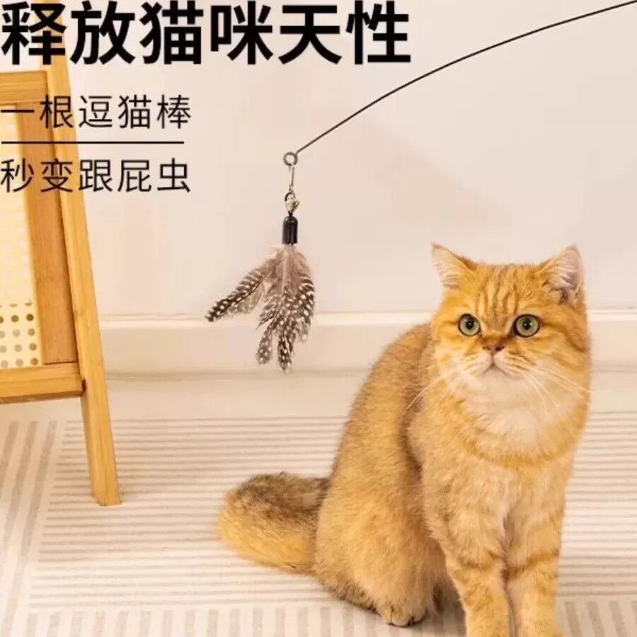 长杆钢丝羽毛逗猫棒耐咬自嗨