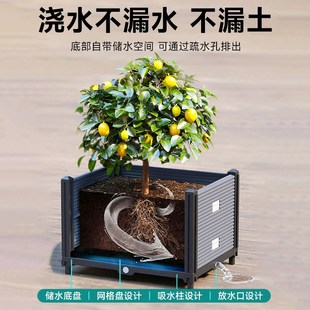 种植箱阳台种菜神器长方形楼顶特大家用蔬菜种菜箱塑料花箱盆