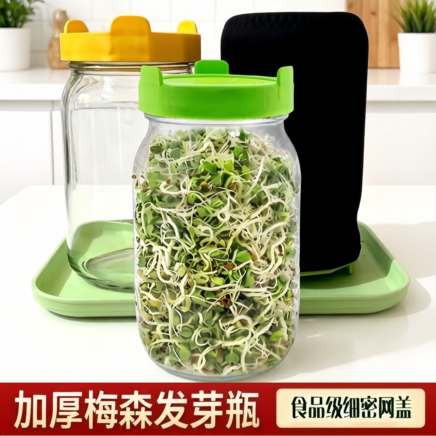 家用梅森瓶发芽罐水培芽菜西兰花苜蓿加厚玻璃育苗瓶生豆芽菜神器