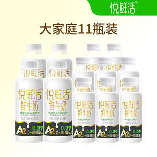 新鲜日期顺丰冷链 君乐宝悦鲜活鲜牛奶A2型260ml A2型450ml