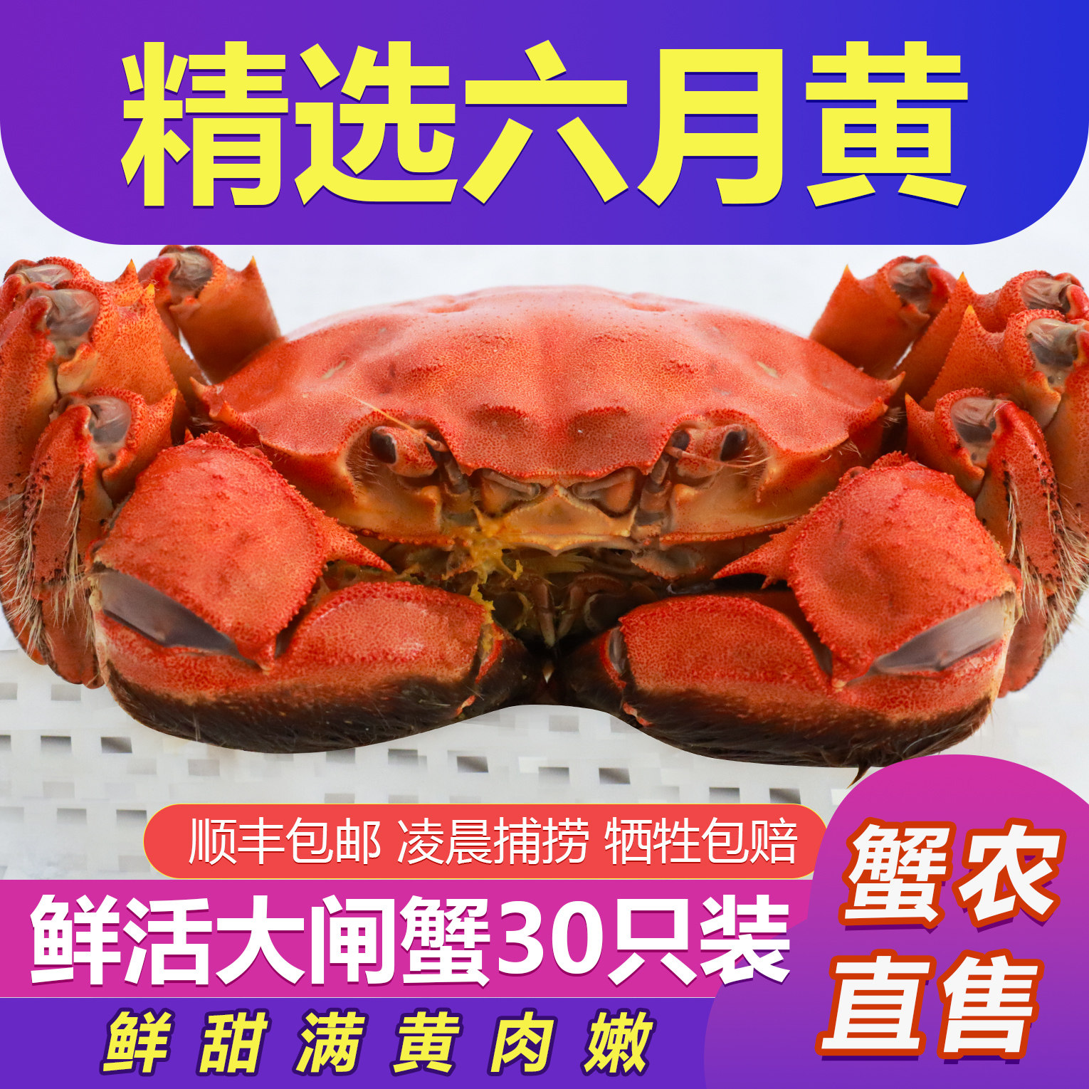 六月黄活蟹买20只送10只