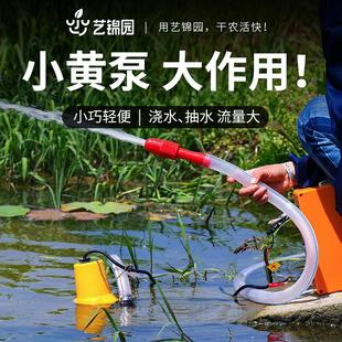水泵电动抽水机家用潜水泵12v浇菜小型浇水机直流电抽水机