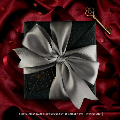 礼物包装纸高级感超大尺寸生日礼品纸圣诞节红色礼盒材料套装书皮