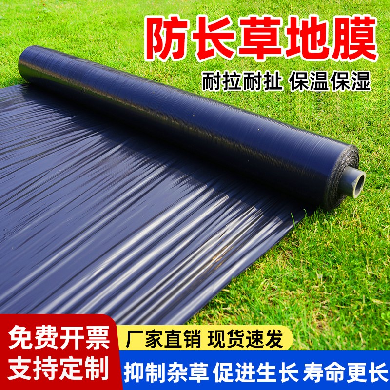 黑地膜加厚农用大棚保湿长保温布防草塑料薄膜种植专用Y不长草地