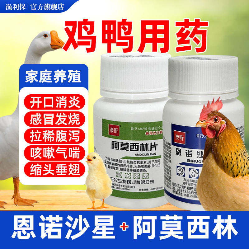 恩诺沙星片兽用鸡药鸡鸭鹅拉稀红黄白痢肠炎腹泻感冒咳嗽兽药大全