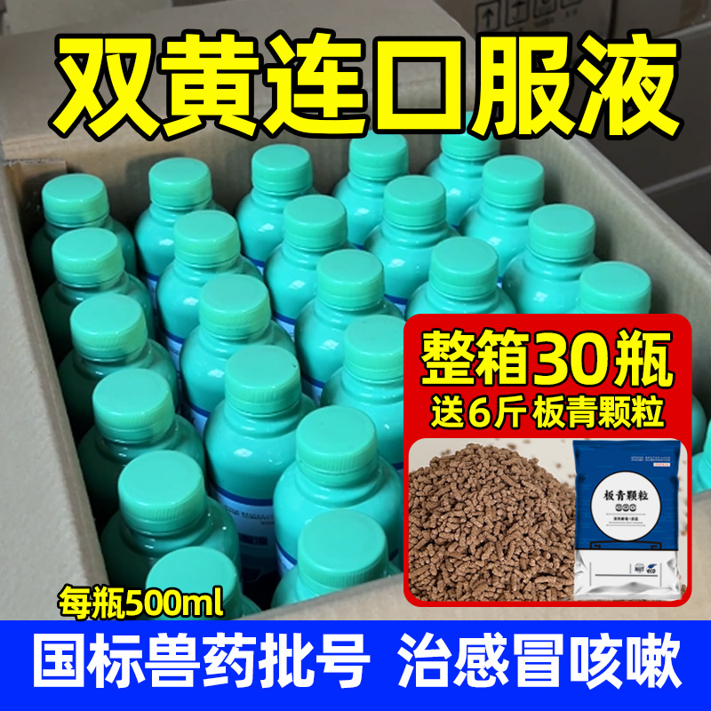 双黄连口服液兽用药鸡鸭鹅感冒